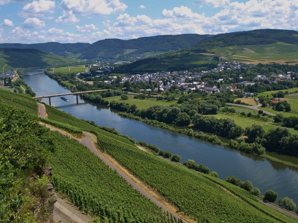 Ferienhaus N° 14 Mulheim an der Mosel Dış mekan fotoğraf